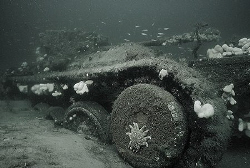 Valentine tank, in Moray Firth Scotland.
Nik V and 15mm ... by Mike Clark 
